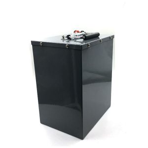 गोल्फ कार्ट, रेडिंग लॉन, स्नोमोबाइल के लिए 48v 40ah LiFePO4 बैटरी